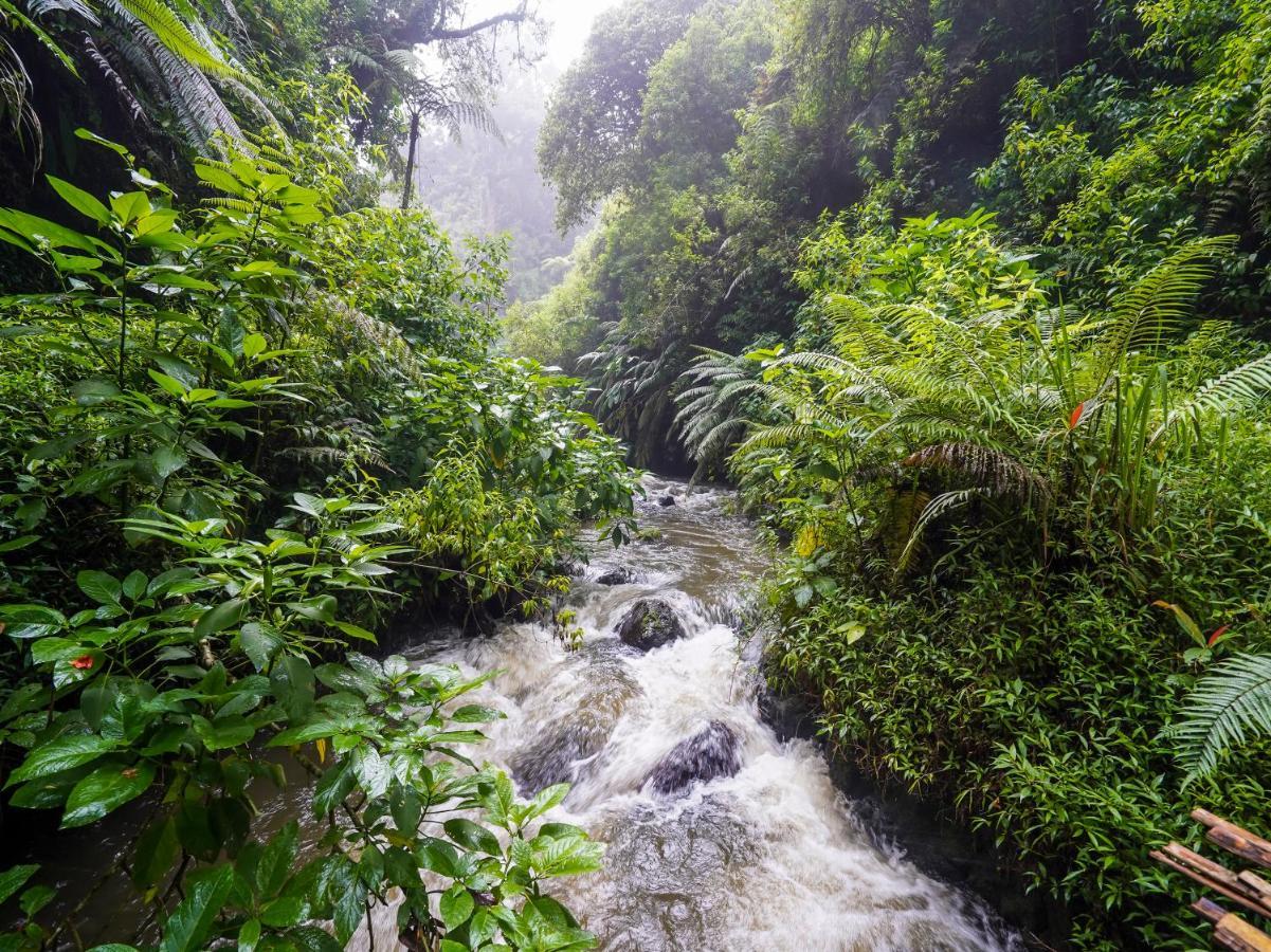 Oyo Homes 90915 Eco Tourism Desa Cihanjuang Rahayu Ciwangun Indah Camp Villas Bongkar Luaran gambar